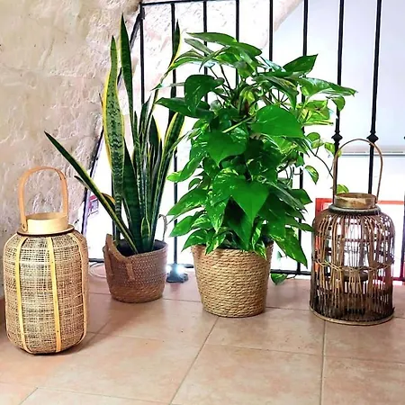 Сasa de vacaciones Casa Tarallo